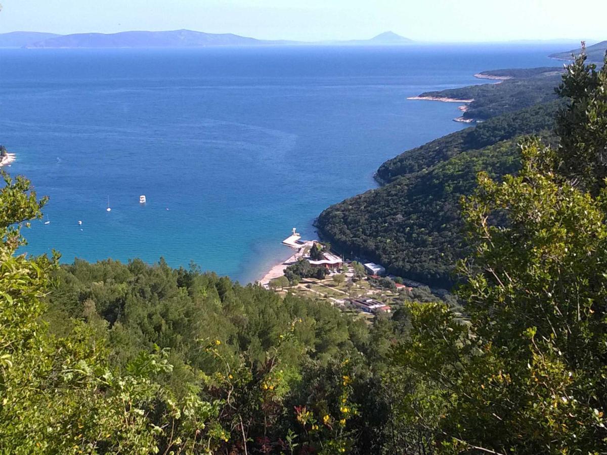 North Adriatic View Apartment Rabac Esterno foto